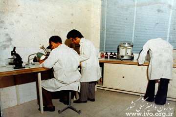 عکس های قدیمی دامپزشکی